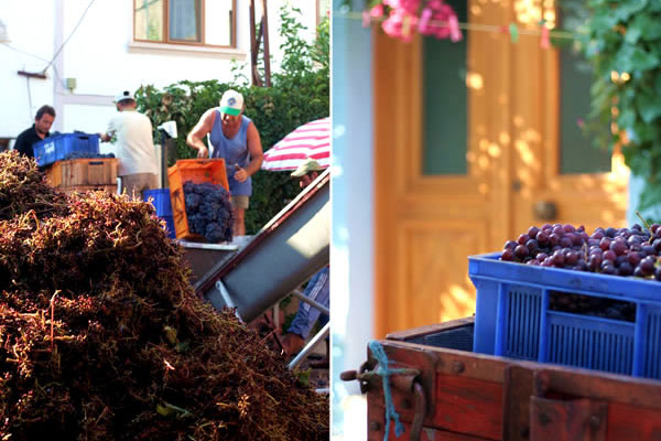 Bozcaada Ada Kültürü